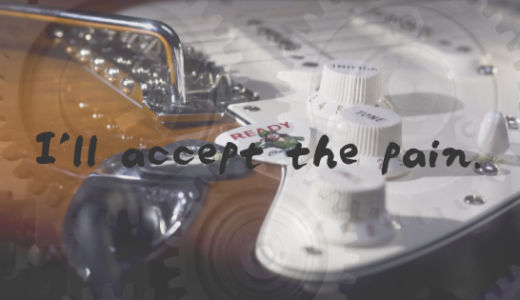 秀光のI’ll accept the painを購入した話